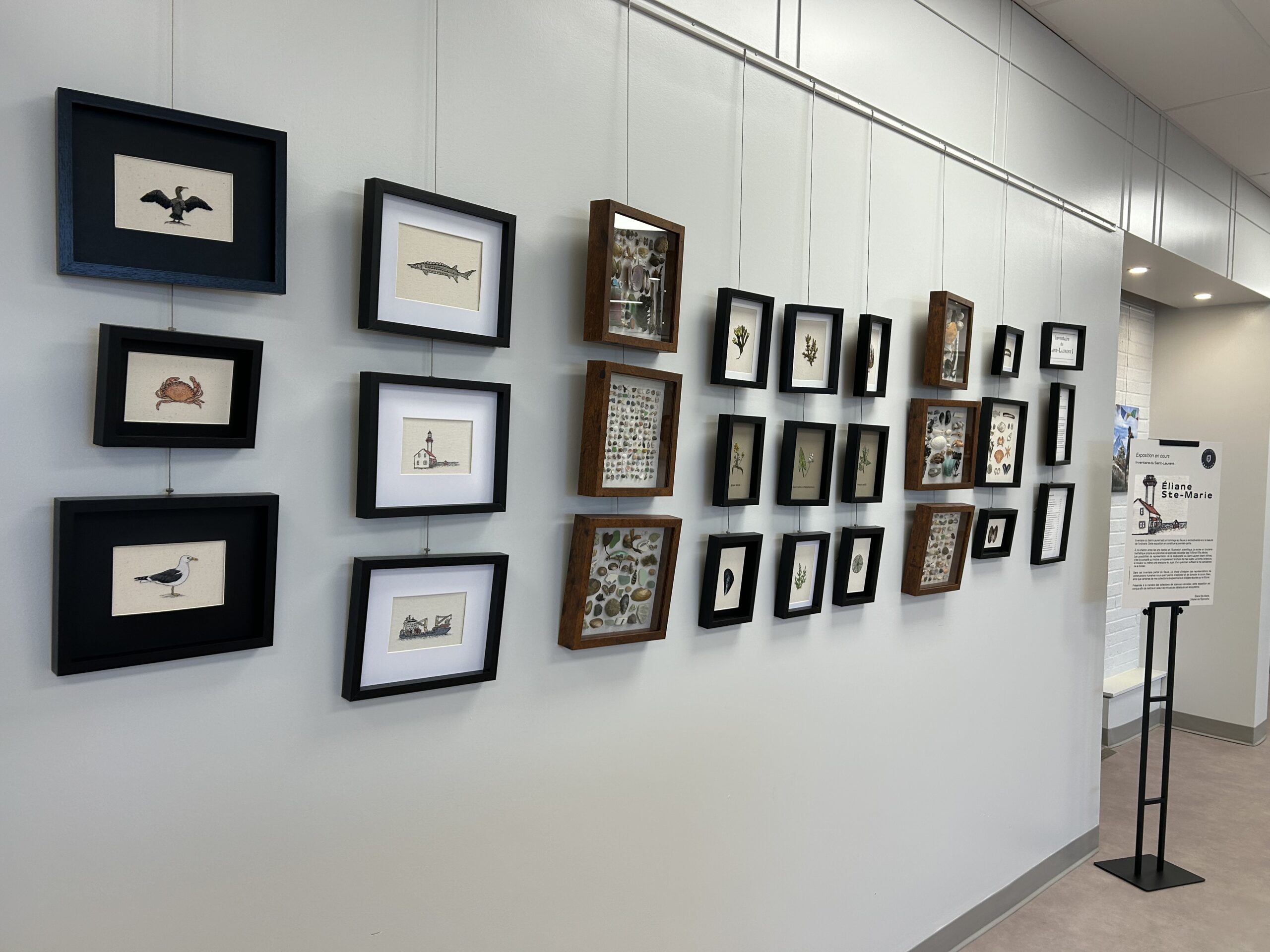 Image de la galerie