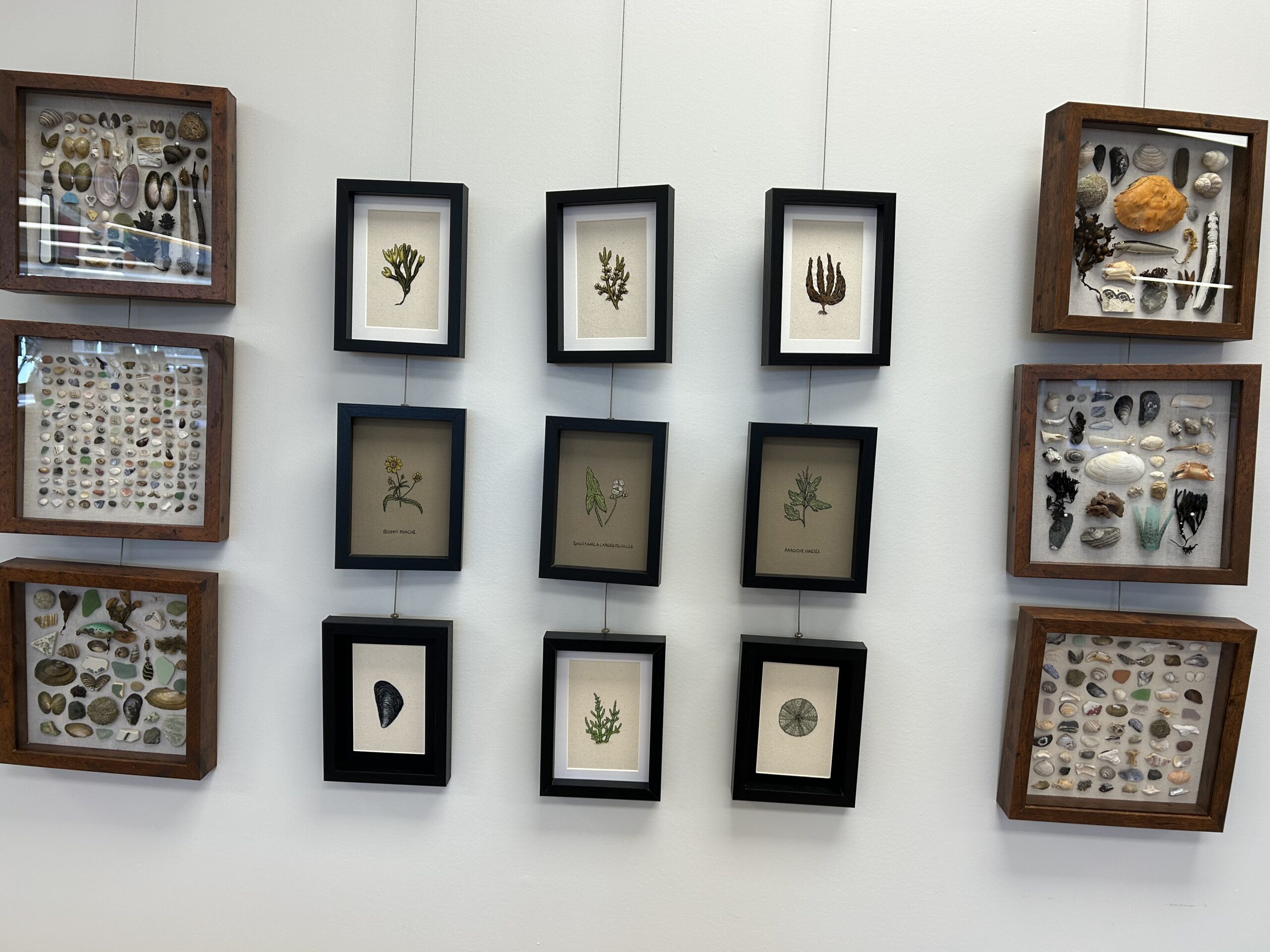 Image de la galerie